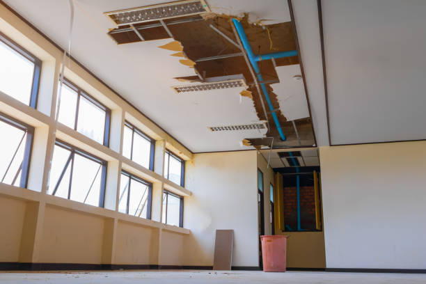 Best Water damage contractors near me  in Dent, OH