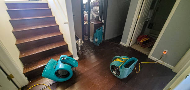 Water damage restoration mold remediation in Dent, OH