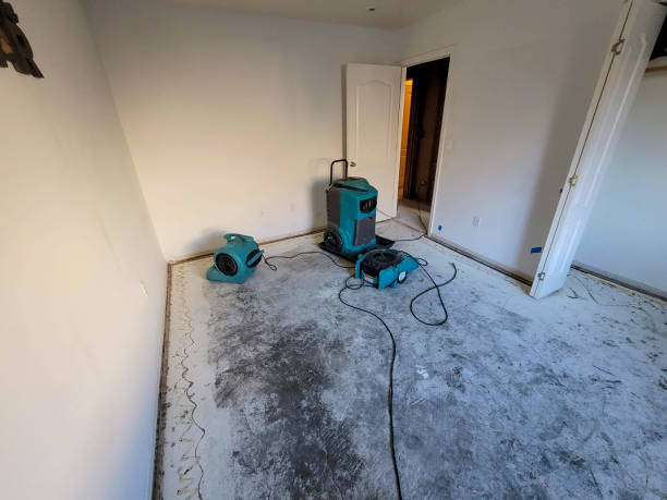 Best Emergency water damage restoration  in Dent, OH