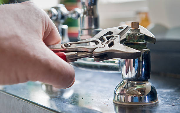 Best Flooded house restoration  in Dent, OH