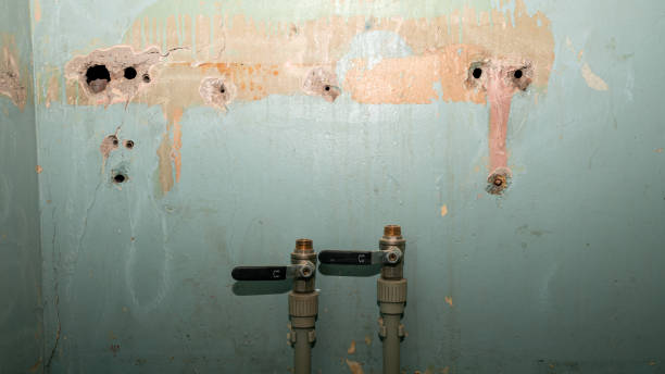 Best Carpet water damage restoration  in Dent, OH