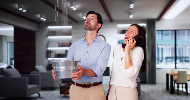 Best Ceiling water damage repair  in Dent, OH
